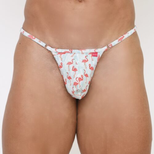 Model showing the front part of the Flaming Fiesta Men's Thong