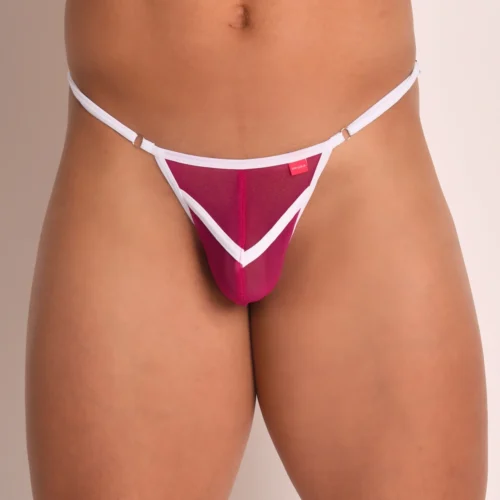 Deep Bordeaux Men’s Sheer Wine Thong Full Frontal View